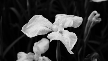 C4104FBA-5311-4C44-8712-D9EF3B1F9BBB/L0/001