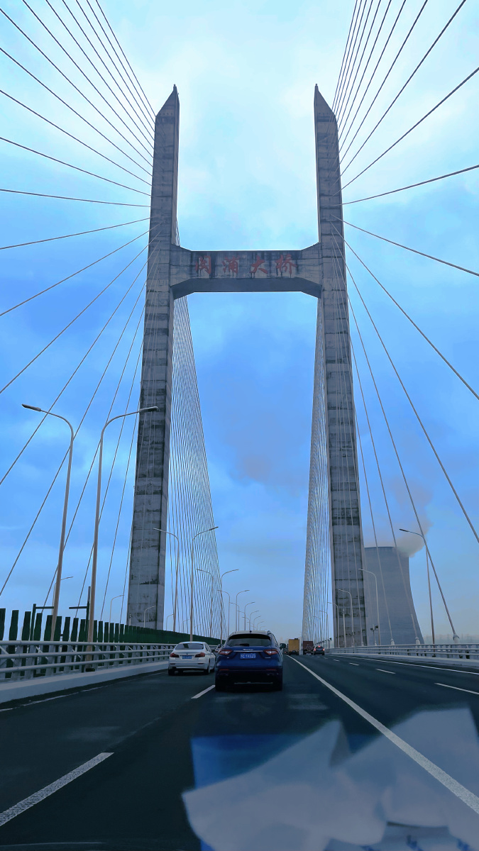 去亲戚家路过闵浦大桥手机随拍