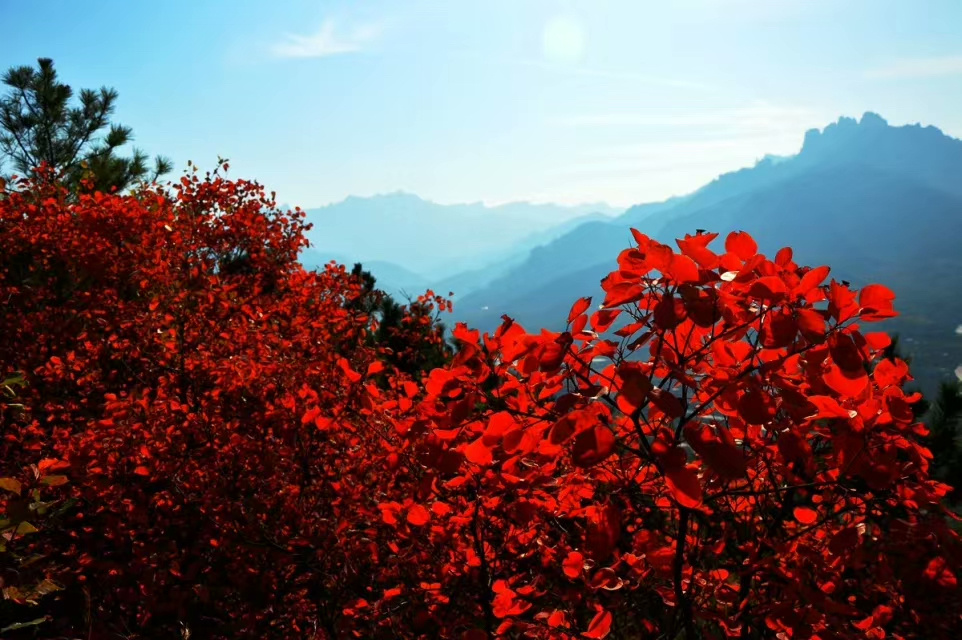 红叶青山 - 老蒙山 - 图虫