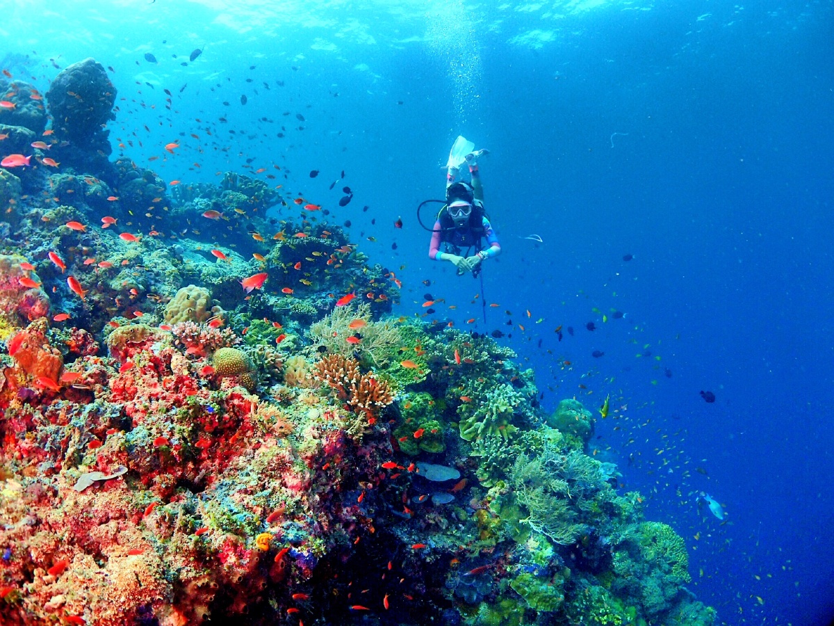 仙本那,诗巴丹世界潜水圣地.