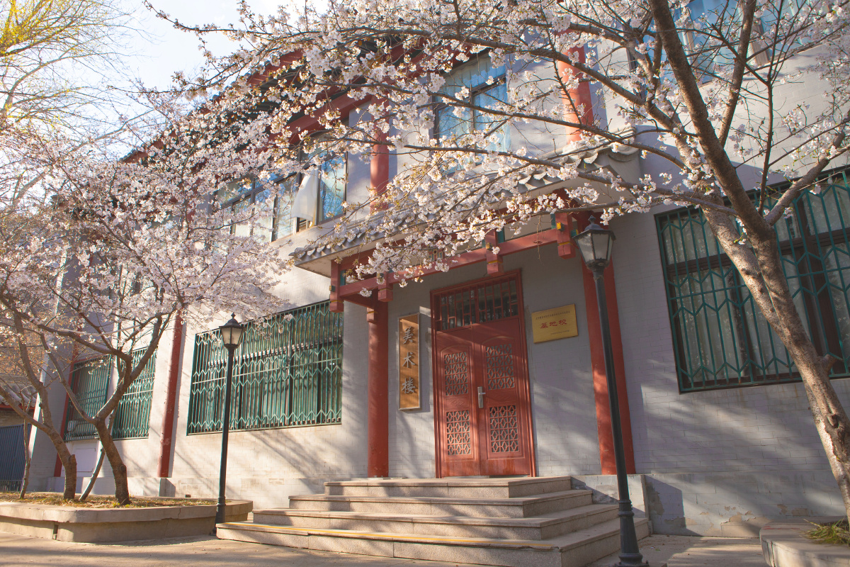 北京育才学校樱花