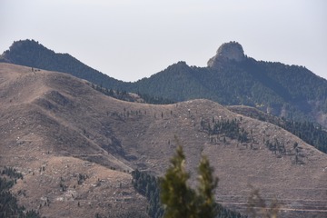 2915367