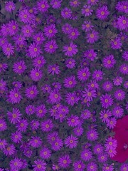 598741D2-C69F-4B7A-87EE-2B805C4F7743/L0/001