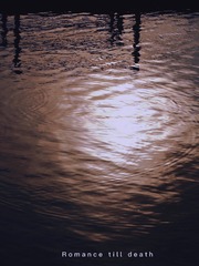 B840E1A5-9431-4BE1-96D6-B51DD1D58918/L0/001