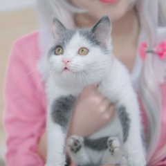 49131