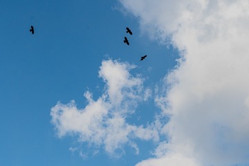 1166417
