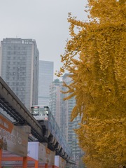 498544