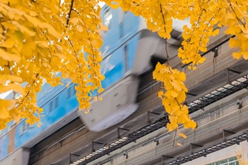 498545
