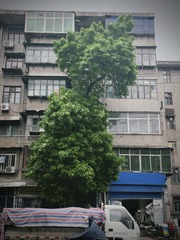 D8457AF6-95DC-474B-AD5C-6A707BA079A7/L0/001