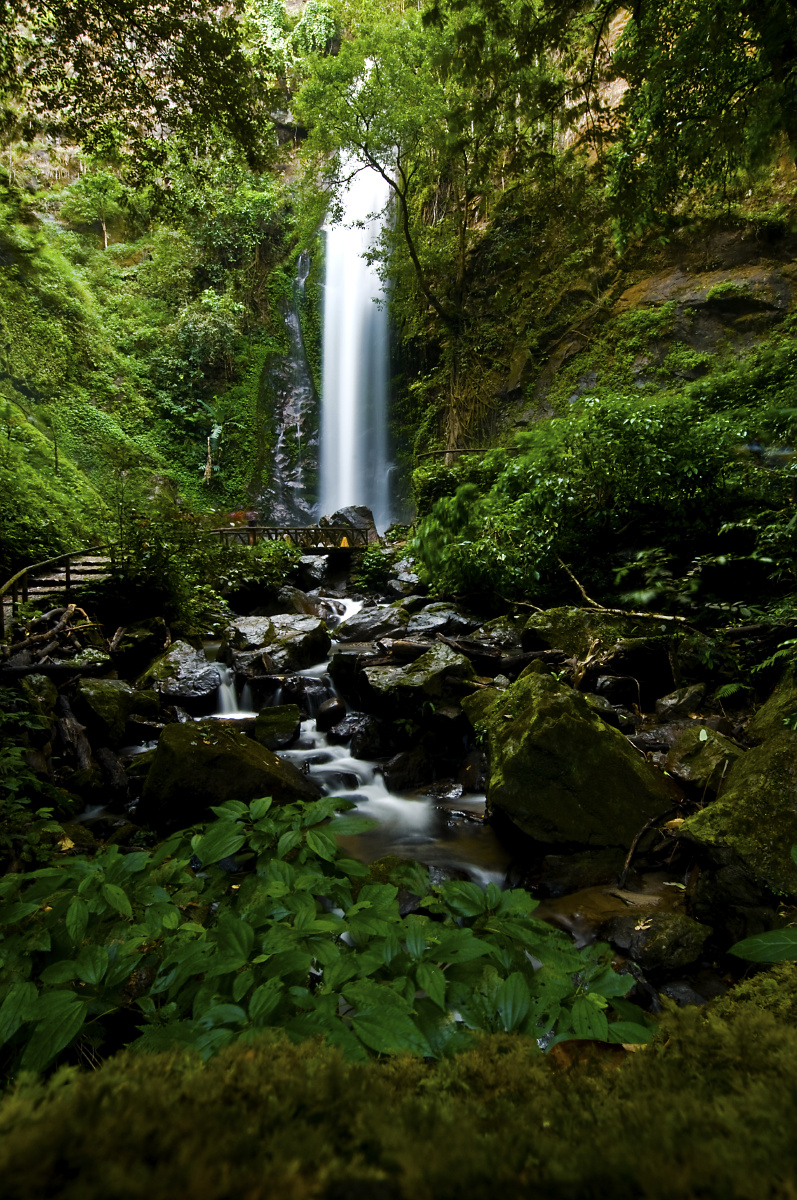 瑞丽莫里雨林主瀑布