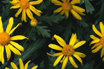 2F93F87F-F46C-491C-B092-2BFD76763AC1/L0/001