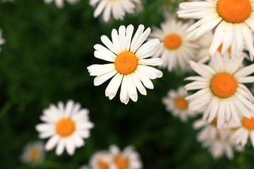 977929