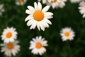 977928