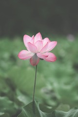 DD8EF03F-9433-40C0-9013-3D02AA8F0F38/L0/001