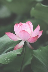 C00EA7ED-B57D-4CDB-A0C0-917F3F54CC46/L0/001