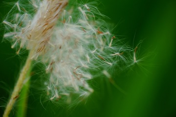 2090891