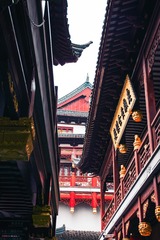 IMGP7442-编辑