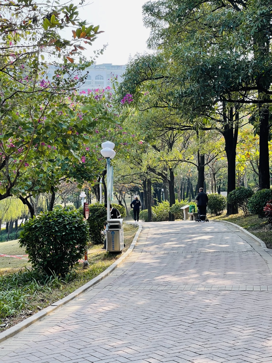深圳龙岗中心区龙潭公园万科广场平时很少有机会来龙岗坐地铁都要一个