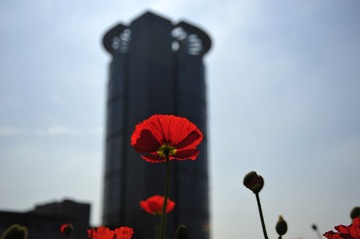 001