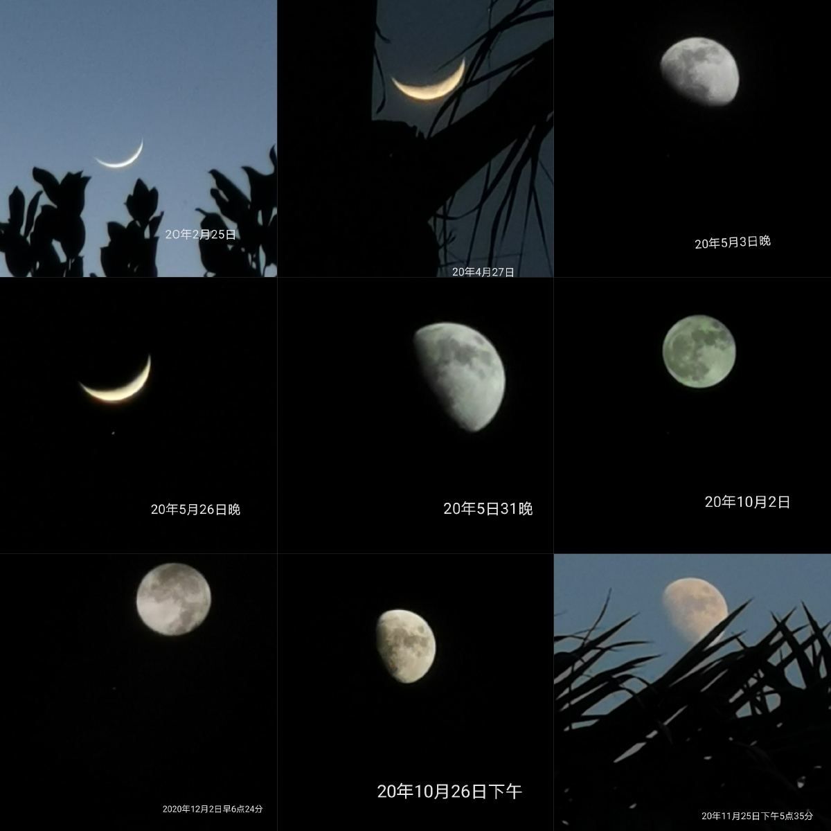 今年各月份拍的月亮
