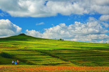 28594