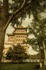 DSC_8420A