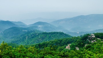 DSC_2076A