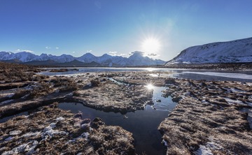 _DSC1361