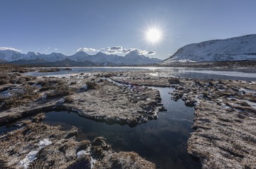 _DSC1388