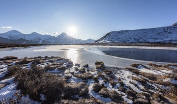 _DSC1354