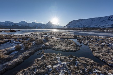 _DSC1345