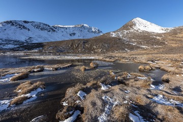 _DSC1350