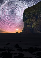 1000036531
