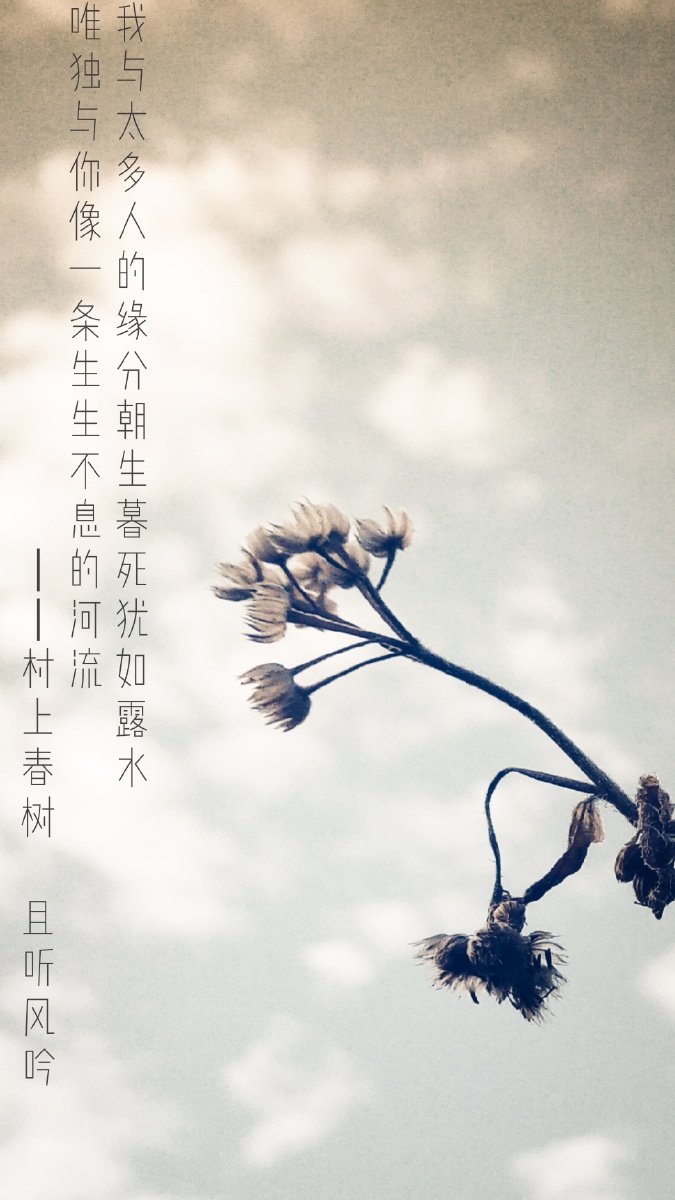 阳台的守望の心中关注