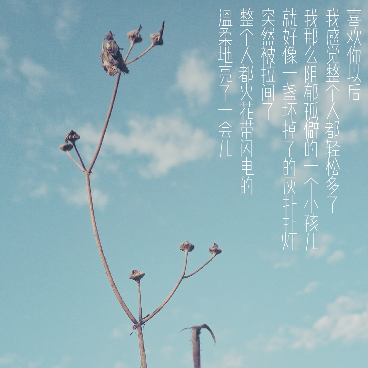 阳台的守望の心中关注