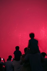 1000028234