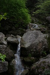 DSC00264
