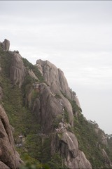 DSC00356