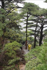 DSC00140