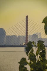 1203D590-E5C3-4C69-BB28-B263A48C9085/L0/001