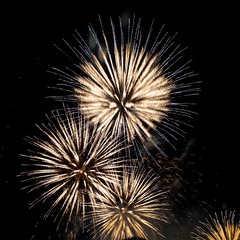 6F2A80E5-71C4-4A42-BF3F-573463E16813/L0/001