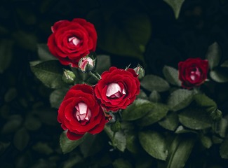 F52E9E10-0160-4352-8747-6167D01546EB/L0/001