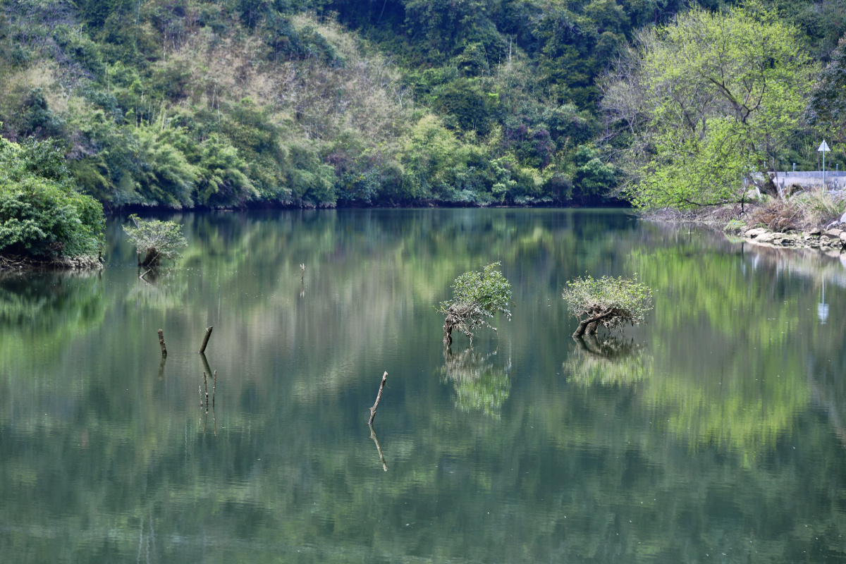 深渡水生态景区