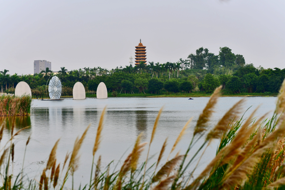 灯都生态湿地公园