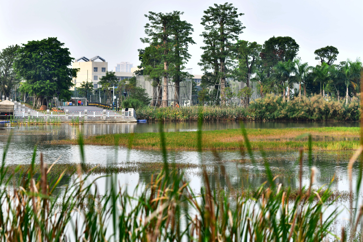 灯都生态湿地公园