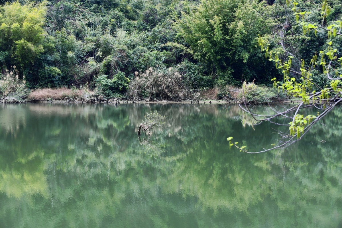 深渡水生态景区