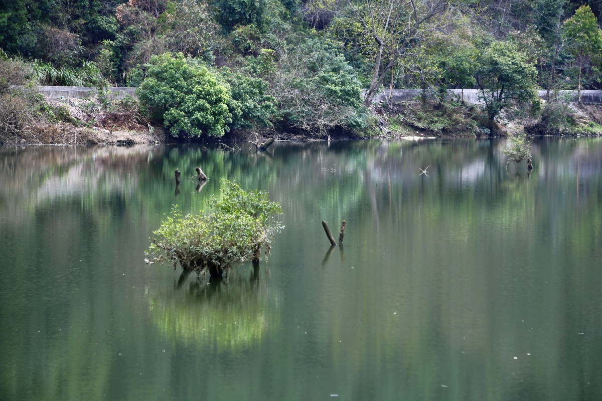 深渡水生态景区