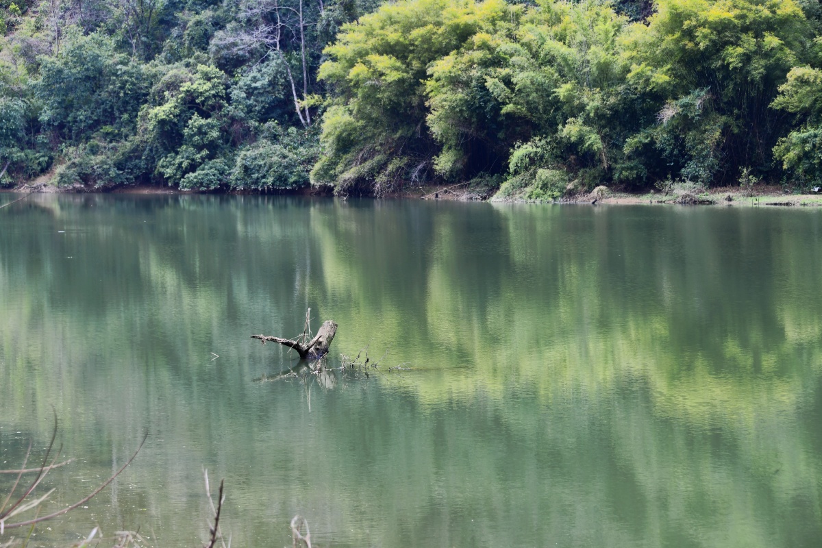 深渡水生态景区