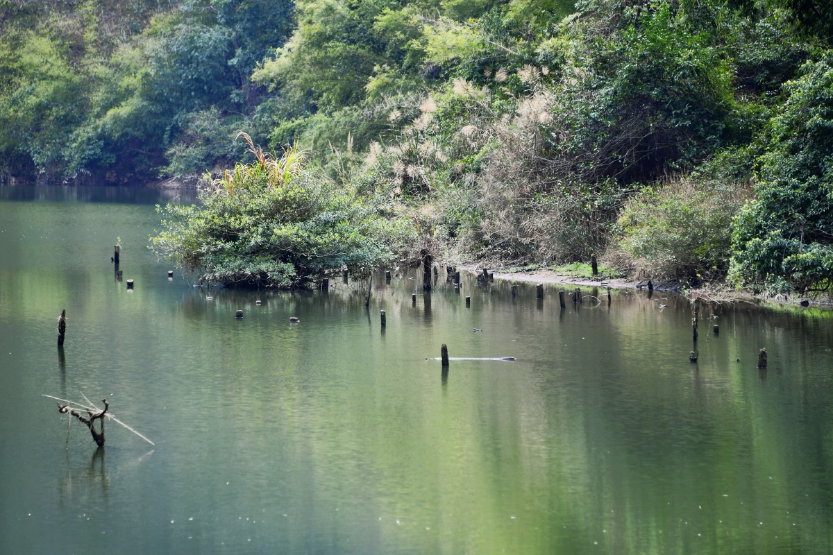 深渡水生态景区