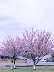 A6779CC4-B1D6-42E8-BABD-9EF13CDDB9CC/L0/001